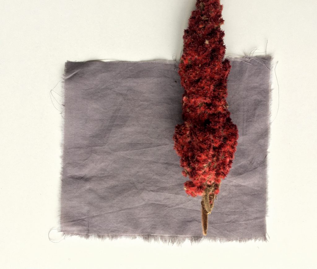 dyeing with sumac