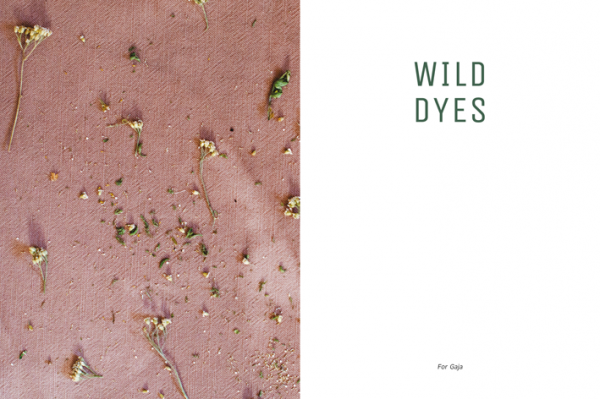 WILD DYES_cover1