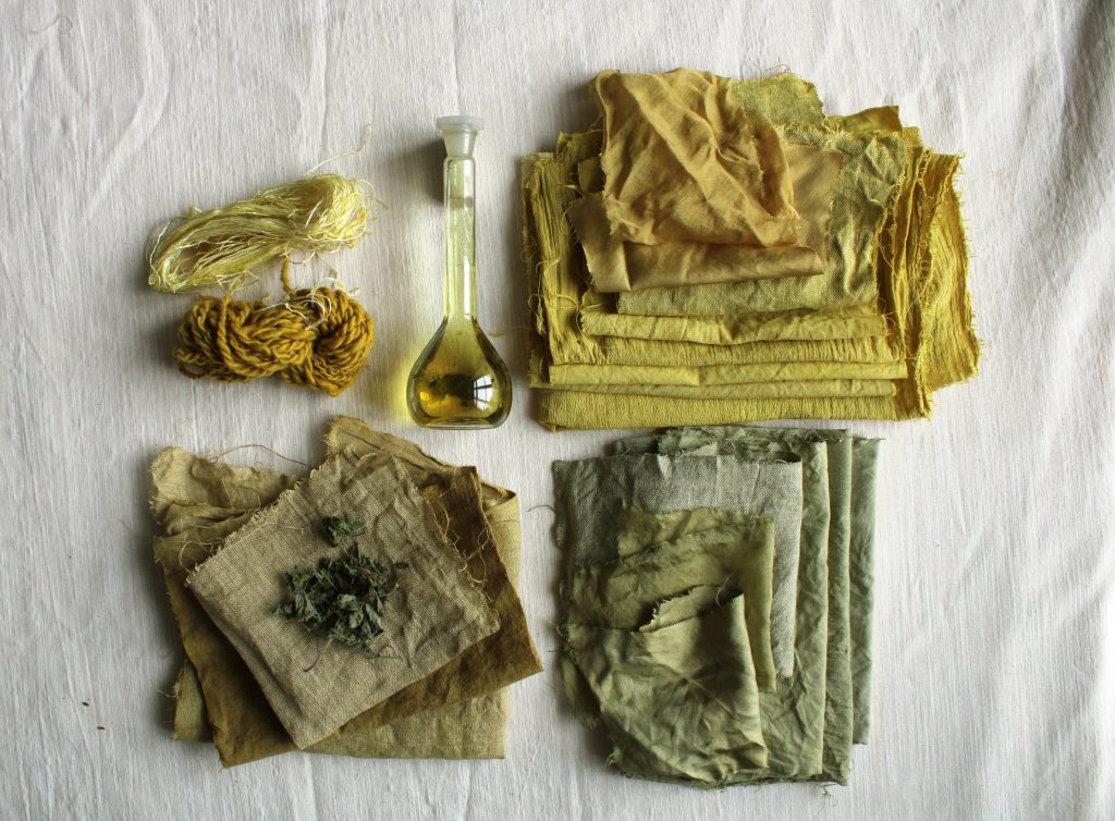 barwniki roślinne do tkanin